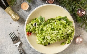 Простые салаты на Новый год 2024. Рецепты вкусных и новых салатов на Новый 2024 год